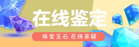 在线鉴定