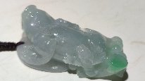 2021年01月08日鉴定结果